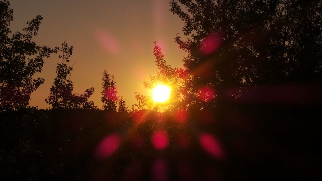 July 16-13-1-Samurai Innovation 90 Day Sunrise Goal