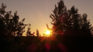 July 16-13-2-Samurai Innovation 90 Day Sunrise Goal