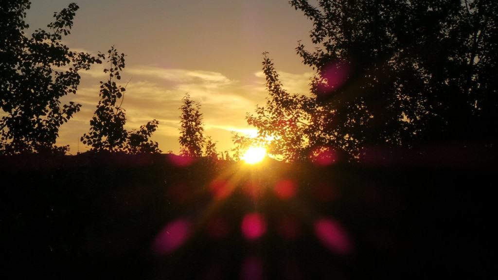July 17-13-1-Samurai Innovation 90 Day Sunrise Goal