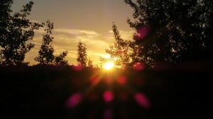 July 17-13-1-Samurai Innovation 90 Day Sunrise Goal