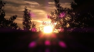 July 17-13-2-Samurai Innovation 90 Day Sunrise Goal
