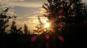 July 18-13-1-Samurai Innovation 90 Day Sunrise Goal