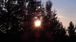 July 19-13-1-Samurai Innovation 90 Day Sunrise Goal