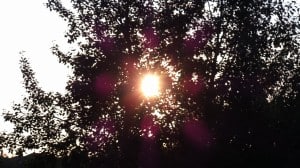 July 19-13-2-Samurai Innovation 90 Day Sunrise Goal
