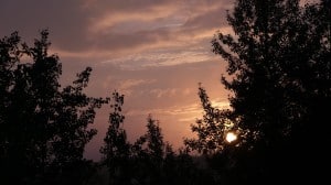 July 23-13-1-Samurai Innovation 90 Day Sunrise Goal