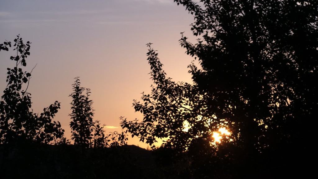 July 26-1-Samurai Innovation 90 Day Sunrise Goal