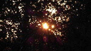 July 26-2-Samurai Innovation 90 Day Sunrise Goal