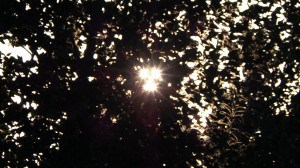 July 27-13-2-Samurai Innovation 90 Day Sunrise Goal