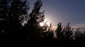July 27-13-5-Samurai Innovation 90 Day Sunrise Goal