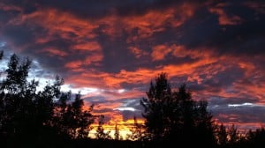 July 29-13-1-Samurai Innovation 90 Day Sunrise Goal