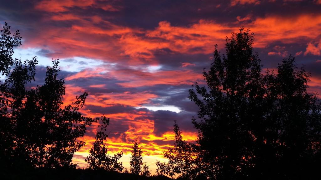 July 29-13-2-Samurai Innovation 90 Day Sunrise Goal