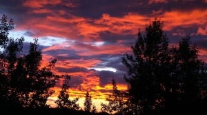 July 29-13-2-Samurai Innovation 90 Day Sunrise Goal