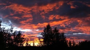 July 29-13-3-Samurai Innovation 90 Day Sunrise Goal