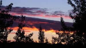 July 30-13-2-Samurai Innovation 90 Day Sunrise Goal