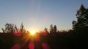 July 31-13-1-Samurai Innovation 90 Day Sunrise Goal