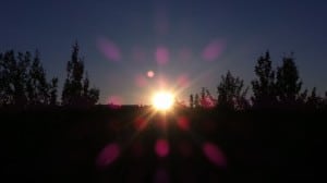 July 31-13-3-Samurai Innovation 90 Day Sunrise Goal