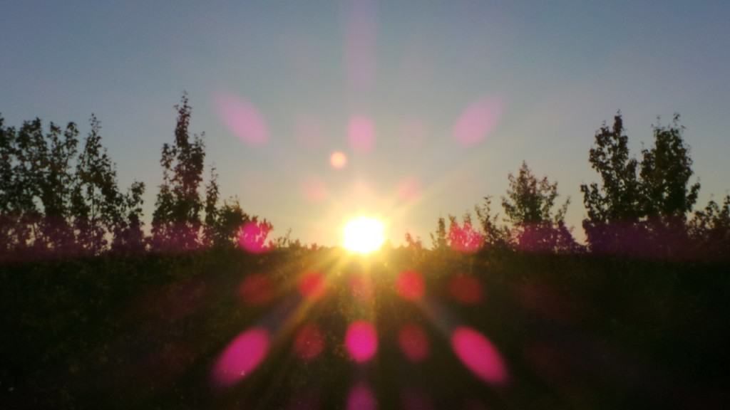 July 31-13-4-Samurai Innovation 90 Day Sunrise Goal