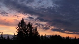 Aug 1-2-Samurai Innovation Sunrise