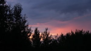 Aug 2-1-Samurai Innovation Sunrise