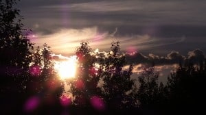 Aug 6-3-Samurai Innovation 90 Day Sunrise Goal