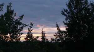 Aug 7-2-Samurai Innovation 90 Day Sunrise Goal