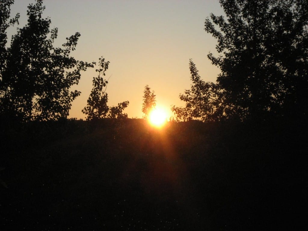 July 9-13-1-Samurai Innovation Sunrise