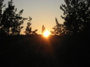 July 9-13-1-Samurai Innovation Sunrise