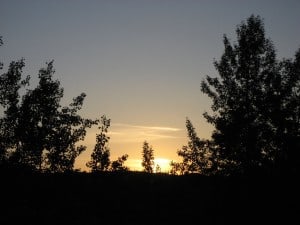 July 10-13-1-Samurai Innovation 90 Day Sunrise Goal