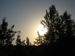 July 11-13-1-Samurai Innovation 90 Day Sunrise Goal