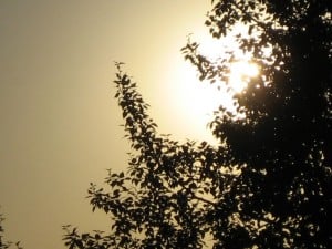 July 11-13-2-Samurai Innovation Sunrise 90 Day Sunrise Goal