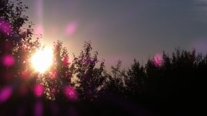 Aug 10-3-Samurai Innovation 90 Day Sunrise Goal