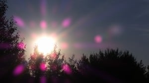 Aug 10-4-Samurai Innovation 90 Day Sunrise Goal