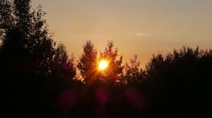 Aug 11-4-Samurai Innovation 90 Day Sunrise Goal