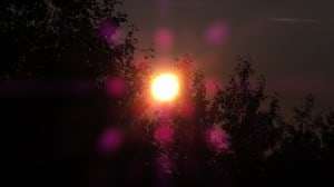 Aug 11-3-Samurai Innovation 90 Day Sunrise Goal