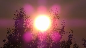 Aug 11-2-Samurai Innovation 90 Day Sunrise Goal