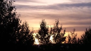 Samurai Innovation 90-Day Sunrise Goal