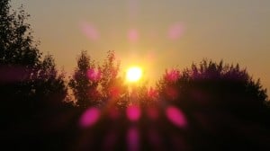 Aug 14-1-Samurai Innovation 90 Day Sunrise Goal
