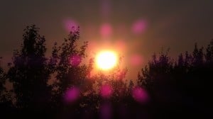 Aug 14-2-Samurai Innovation 90 Day Sunrise Goal