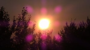 Aug 14-3-Samurai Innovation 90 Day Sunrise Goal