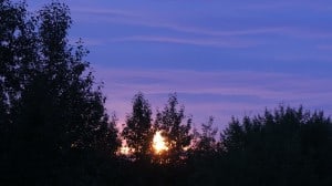 Aug 16-1-Samurai Innovation 90 Day Sunrise Goal