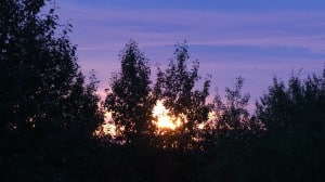 Aug 16-2-Samurai Innovation 90 Day Sunrise Goal