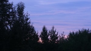 Aug 16-3-Samurai Innovation 90 Day Sunrise Goal
