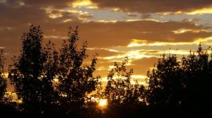 Aug 19-2-Samurai Innovation 90 Day Sunrise Goal