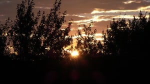Aug 19-3-Samurai Innovation 90 Day Sunrise Goal