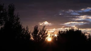 Aug 19-4-Samurai Innovation 90 Day Sunrise Goal