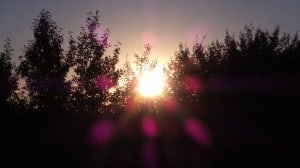 Aug 20-3-Samurai Innovation 90 Day Sunrise Goal