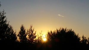 Aug 21-1-Samurai Innovation 90 Day Sunrise Goal