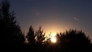 Aug 21-3-Samurai Innovation 90 Day Sunrise Goal