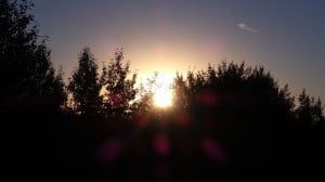 Aug 21-4-Samurai Innovation 90 Day Sunrise Goal