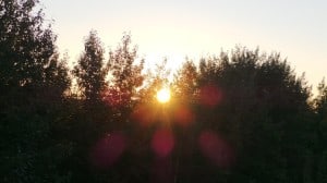 Aug 22-1-Samurai Innovation 90 Day Sunrise Goal